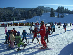 Informacja dot. kursu nauki jazdy na nartach/snowboardzie 