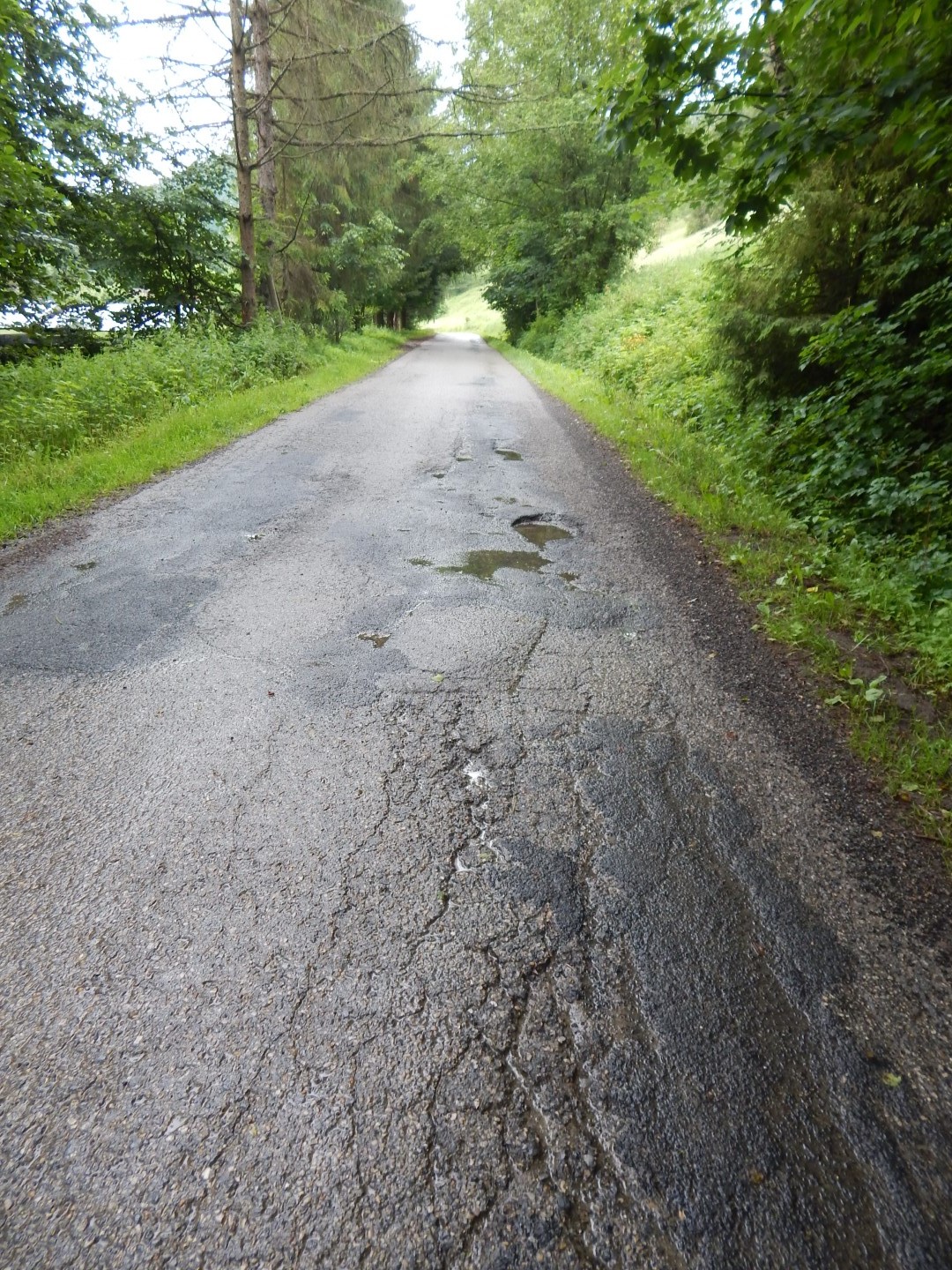 zdjęcie przedstawia asfaltową drogę. Po prawej stronie drogi znajdują się pęknięcia oraz dziury. W dziurach są kałuże. Drogę otaczają zielone drzewa i trawa.