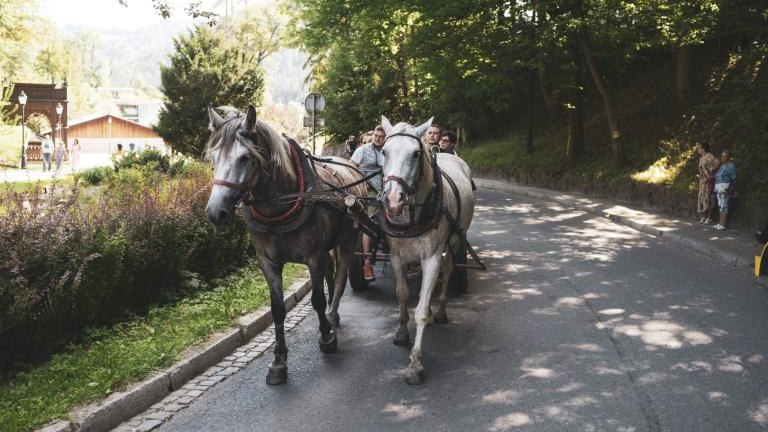 _DSC3157 (Duży).jpg