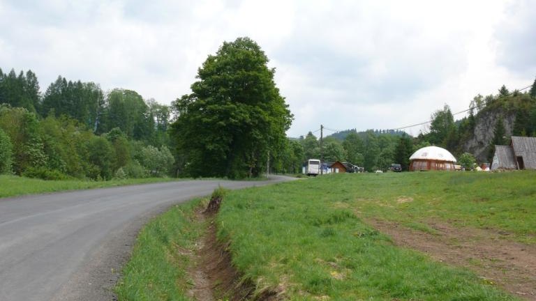 P1110646.JPG