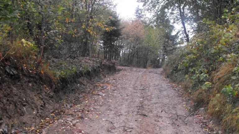 bereśnik 039.jpg