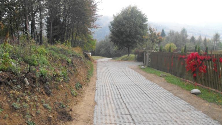 bereśnik 048.jpg