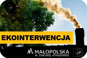 Ekointerwencja